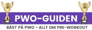 PWO-GUIDEN Logotyp